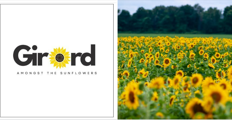 sunflower diinners